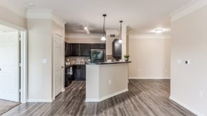 1 bedroom apartment kitchen - Carrington at Park Lakes
