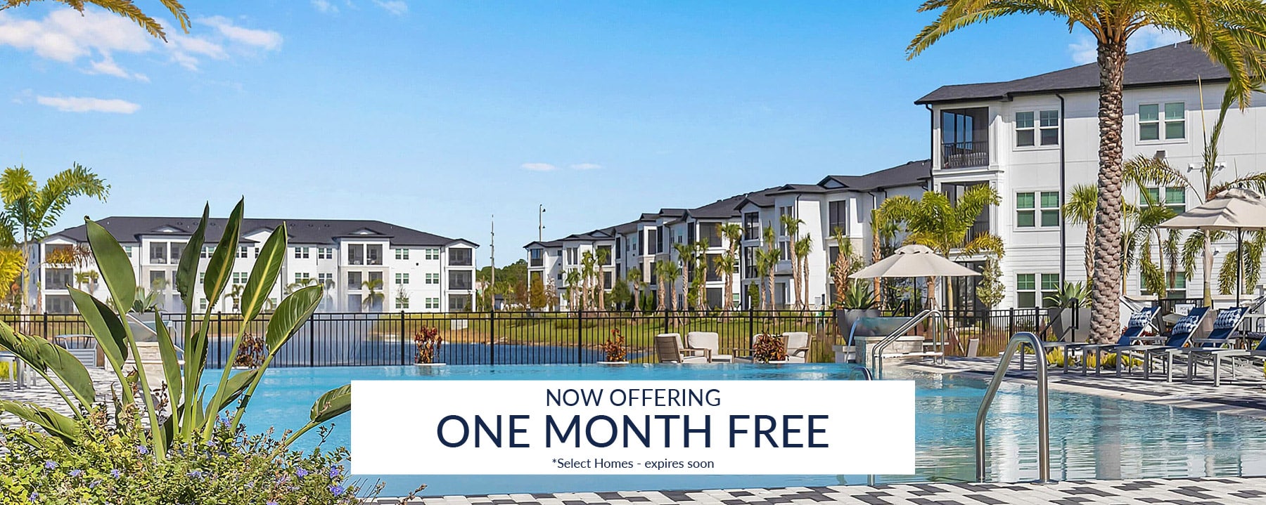Modern apartment complex with a large outdoor pool, palm trees, lounge chairs, and a sign offering one month free rent on select homes.